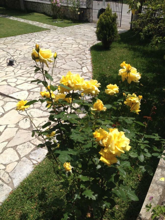 Dimitra Studios Nidri Εξωτερικό φωτογραφία